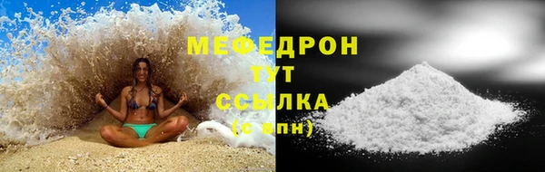 индика Богданович