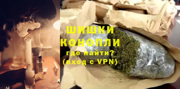 индика Богданович