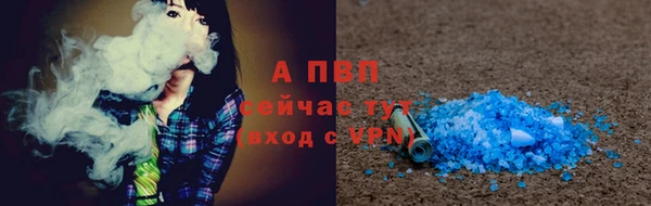индика Богданович