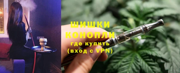 индика Богданович