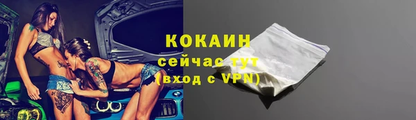 индика Богданович