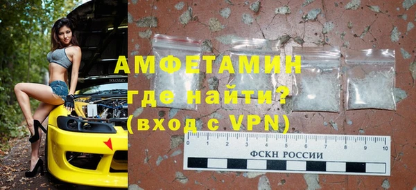 индика Богданович