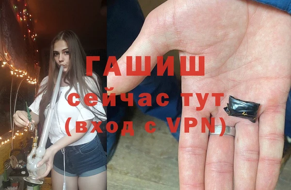 индика Богданович