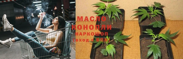 индика Богданович