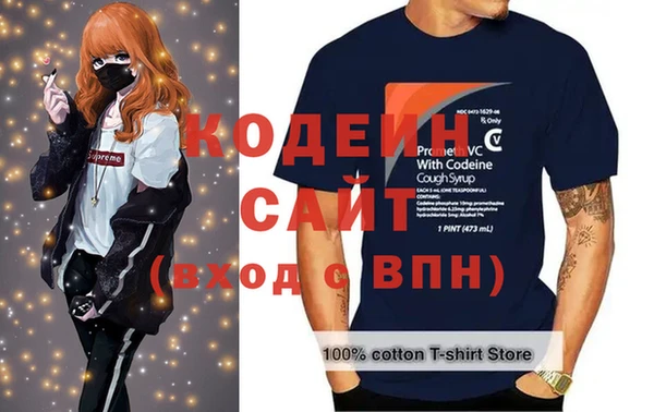 индика Богданович