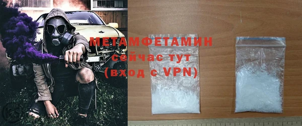 индика Богданович