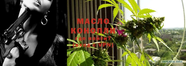 индика Богданович